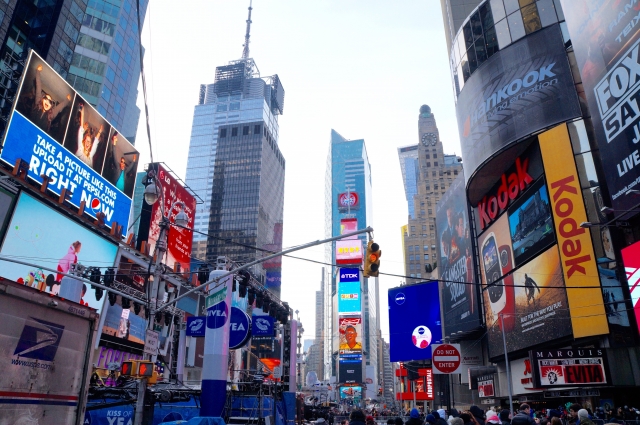 �Ǝ��h���C���擾���@�菇�摜